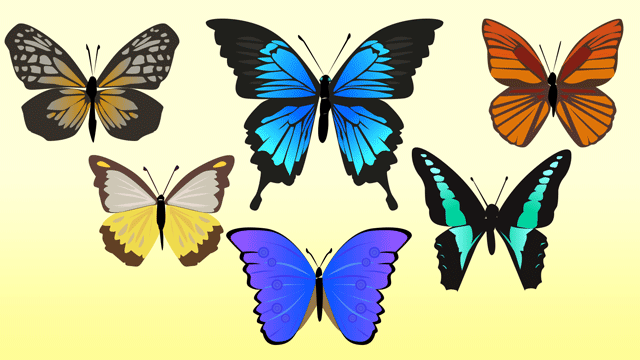 美しさのイメージ