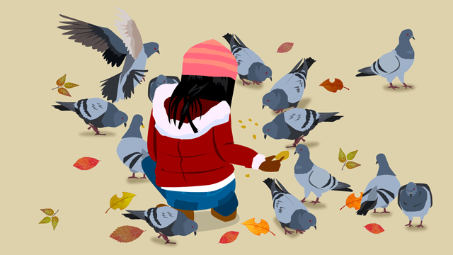 冬に鳥に餌をやっている若い少女