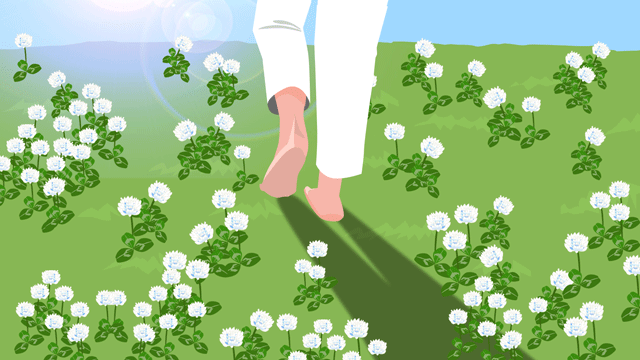 クローバーの花が咲く芝生へと向かっていく自然な歩み