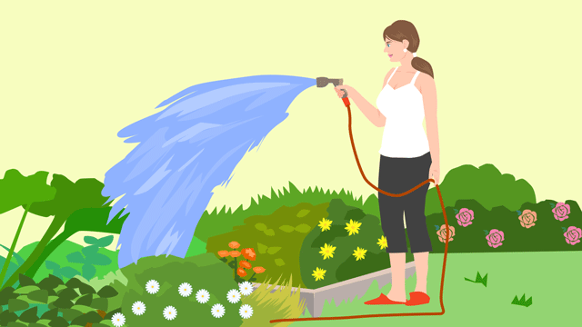 自分の庭の花に水をやる女性
