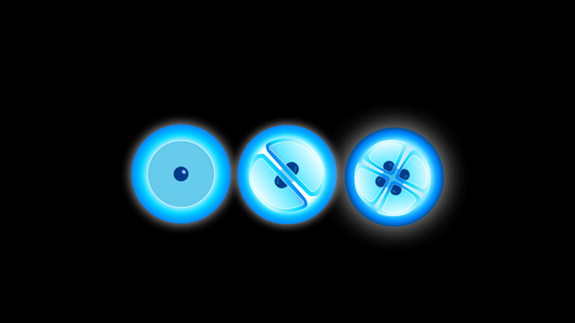 原種から生じる多層的な可能性の開花