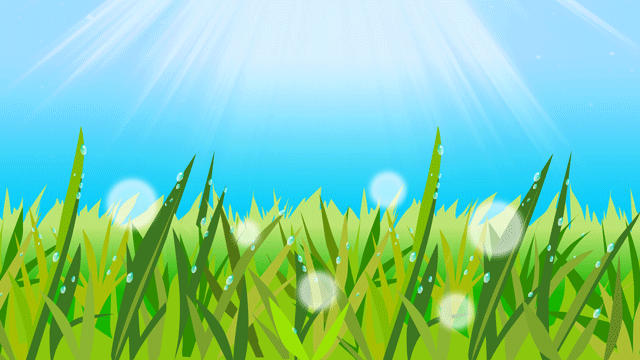 太陽の光が一面にみなぎる早朝の露の輝き