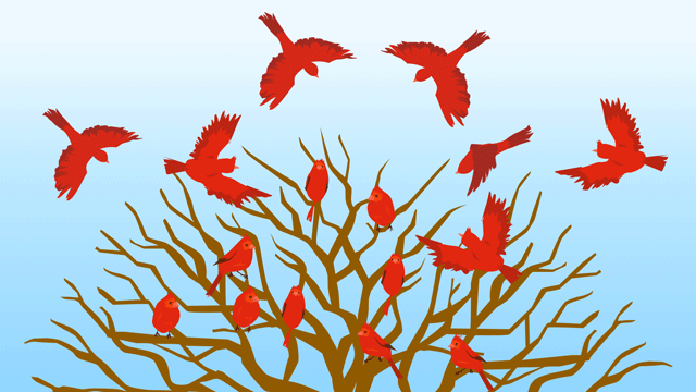 大きな木の枝先に乗り出すたくさんの小鳥たち