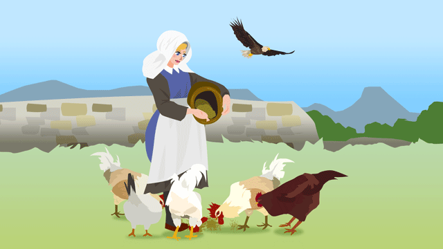 ニワトリに餌をやりながら鷹から守っている女性