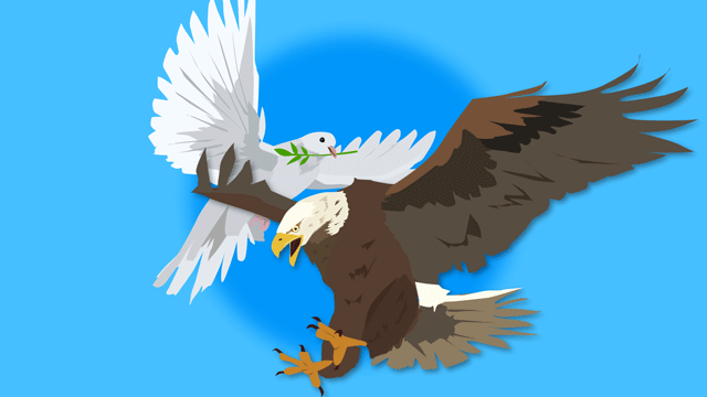 お互いに入れ替わる鷹と大きな白い鳩