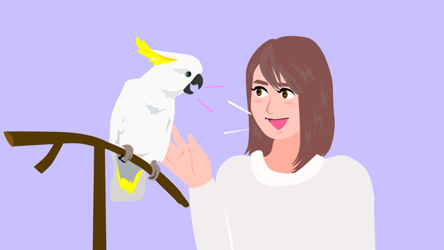 耳にした会話をくり返すオウム