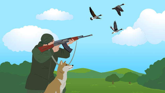 野生の鴨を撃っているハンター