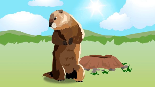 自分の影を探しているグラウンド・ホッグ