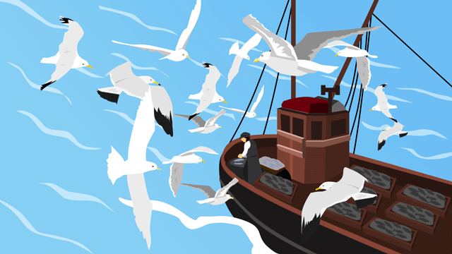 食べ物を期待して船のまわりを飛ぶカモメ