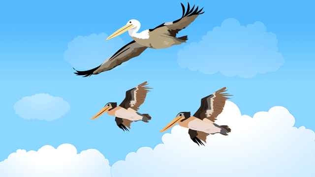 人間の脅威のない安全な土地へ子どもたちを連れて引っ越すペリカン