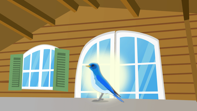 コテージの入り口に止まっている青い鳥