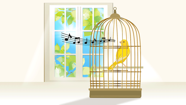 陽のあたる家で飼われている喜びを歌う鳥たち