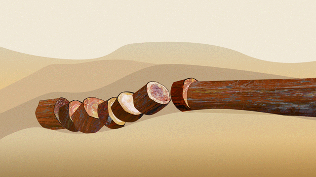 砂漠に横たわる石化して割れた木の幹